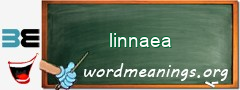 WordMeaning blackboard for linnaea